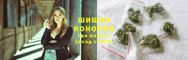 PSILOCYBIN Алексеевка