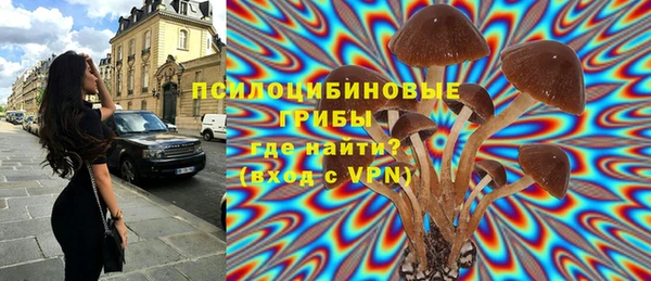 ECSTASY Алзамай