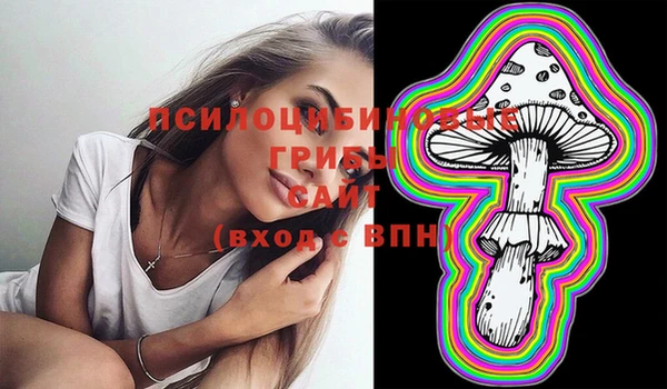 героин Алексин