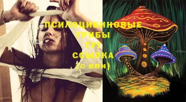 героин Алексин