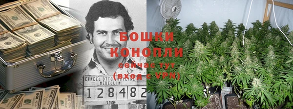 PSILOCYBIN Алексеевка