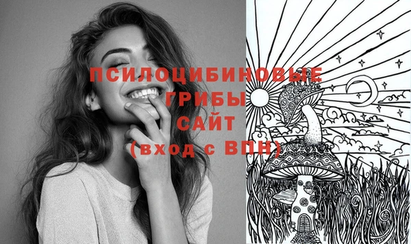 PSILOCYBIN Алексеевка