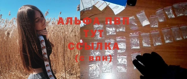 ECSTASY Алзамай